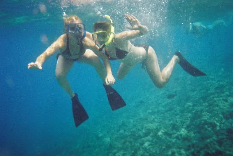 snorkelling Pictures, Images and Photos