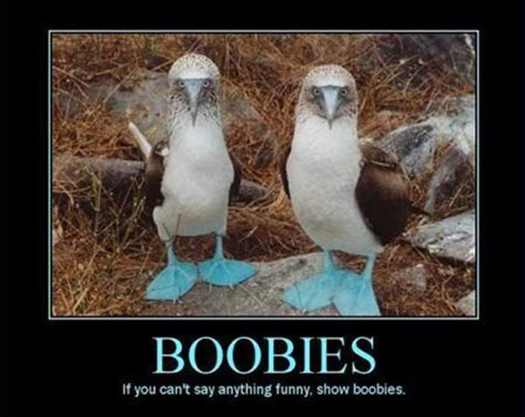 boobies.jpg