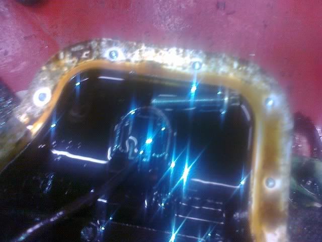 Pilt