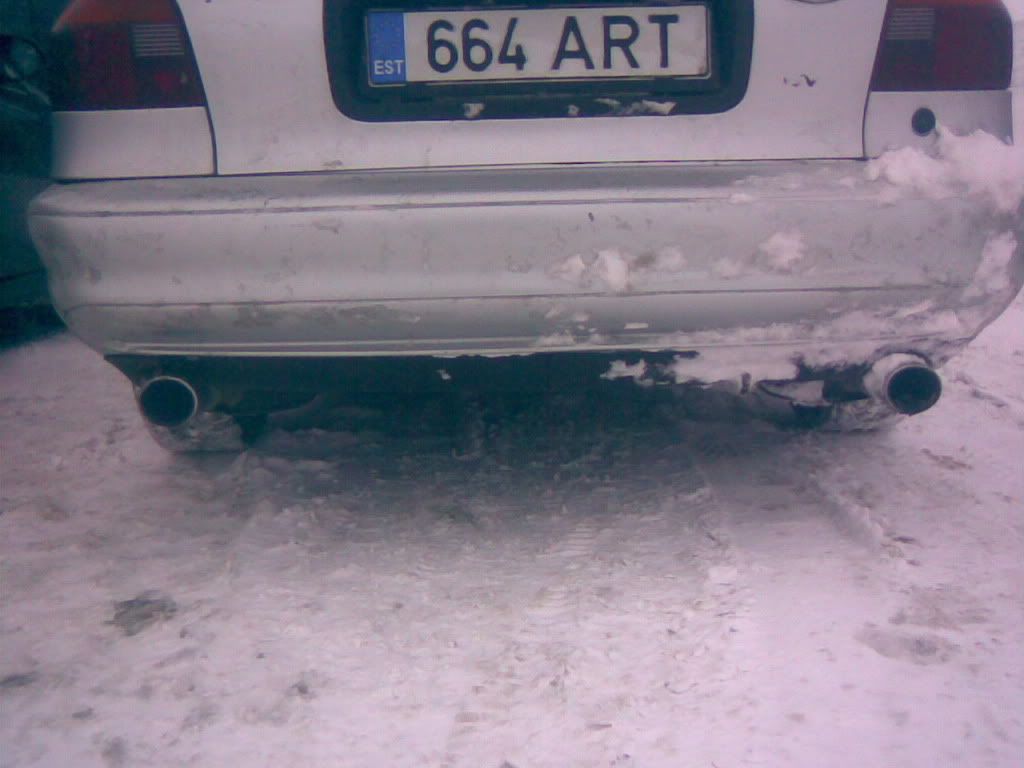Pilt