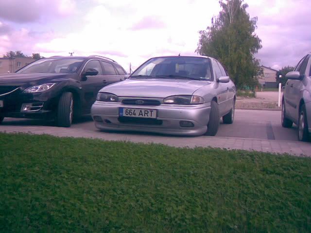 Pilt