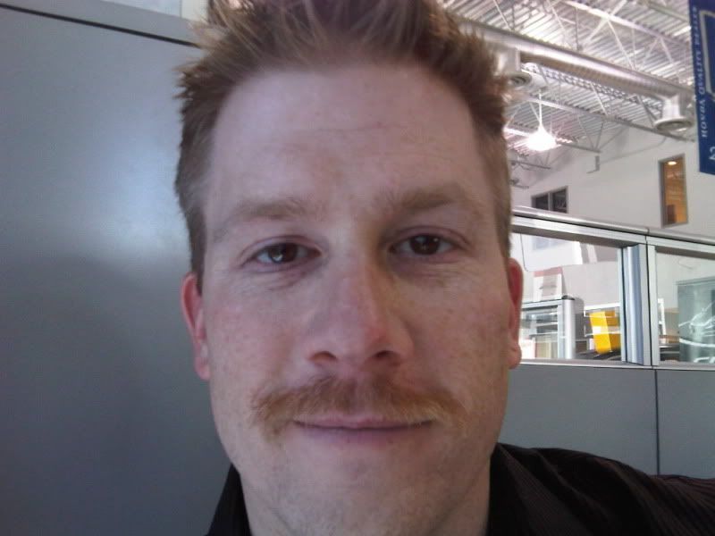 Movember2010FinalResult.jpg