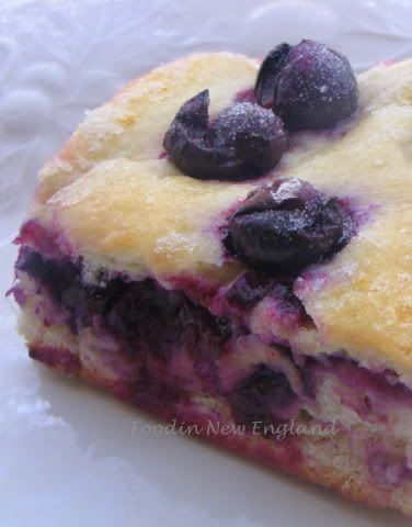 Pan con L'Uva (bread with grapes)