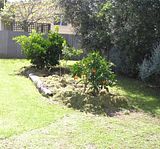  photo Citrus126Sept11.jpg