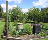  photo VeggieOrchard312Nov13_zpsc85e7276.jpg