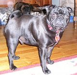  photo Long210Nov13_zpsa8250671.jpg