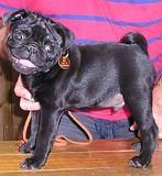  photo Long218Feb13_zpse32d1725.jpg