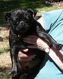 photo LongWater526Jan14_zps7cacf39e.jpg