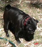 photo LongWater726Jan14_zps447fbbac.jpg