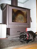  photo LongWoodheaterDog3Aug13_zps4afa78c4.jpg