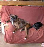  photo LongampBuschka114Sept13_zps3c2c2062.jpg