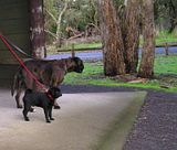 photo MtRouse115June13_zpsef9b2824.jpg