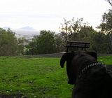 photo MtRouse215June13_zps0acd3460.jpg