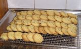  photo ChocChipBikkies19May12.jpg
