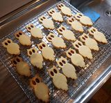  photo Owlbiscuits 10Aug15_zpsrdz4y0ce.jpg