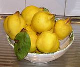  photo Quinces15May13_zpsef098282.jpg