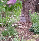 photo GardenBuddha327Oct13_zpsebb72e5b.jpg
