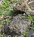  photo CoarseBubbleRock 13Mar17_zpswbqslqrj.jpg