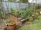  photo 2016 ShedBed1 28Feb16_zpsjglgyujp.jpg