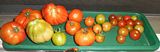  photo 2017 Tomatoes 18Mar17_zpsmp17clcp.jpg