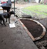  photo 2017 LizBrickwork2 16July17_zpsjqdguk4y.jpg