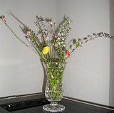  photo SpringWildFlowers21Oct13_zps2700f83e.jpg