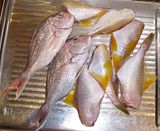  photo Fish1June14_zps3d7ef6be.jpg