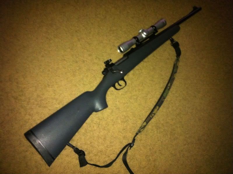 M600a.jpg