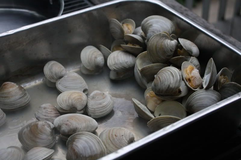 ClamsandChorizo005.jpg
