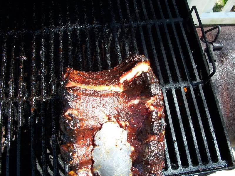 Pig008.jpg