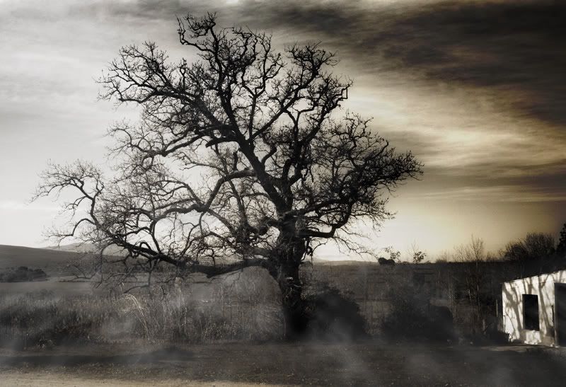 IMAGE: http://i114.photobucket.com/albums/n248/renboykite/Sleepyhollow2.jpg