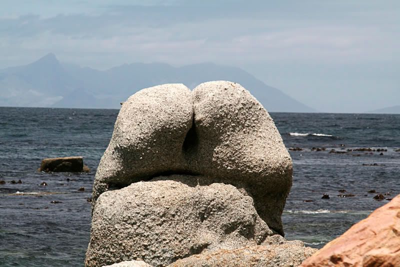 IMAGE: http://i114.photobucket.com/albums/n248/renboykite/_MG_0780.jpg