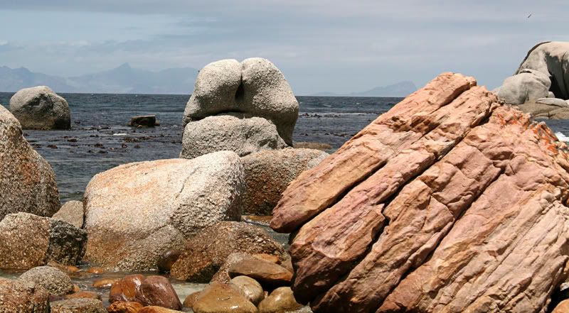 IMAGE: http://i114.photobucket.com/albums/n248/renboykite/_MG_0781.jpg