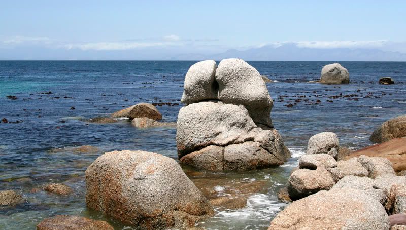 IMAGE: http://i114.photobucket.com/albums/n248/renboykite/_MG_0790.jpg