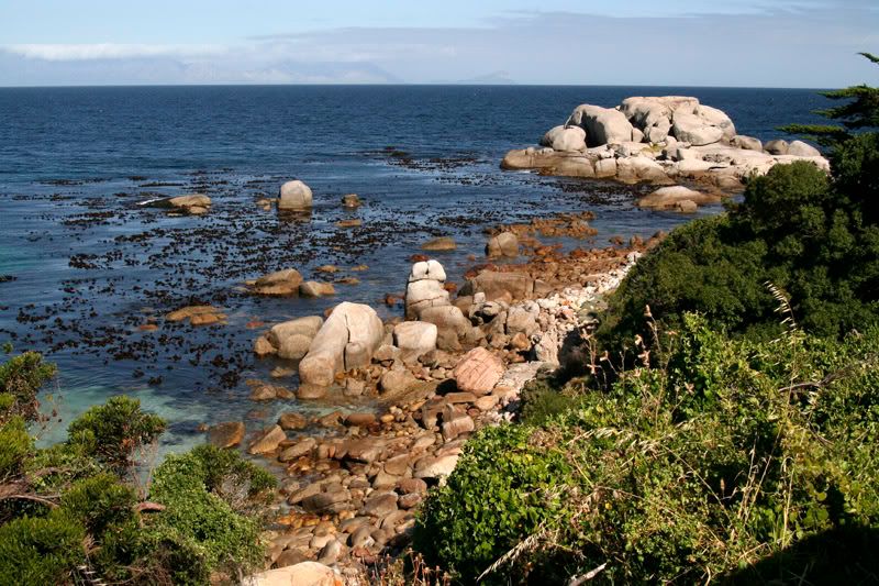 IMAGE: http://i114.photobucket.com/albums/n248/renboykite/_MG_0823.jpg