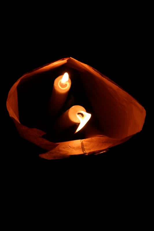 IMAGE: http://i114.photobucket.com/albums/n248/renboykite/_MG_1832.jpg