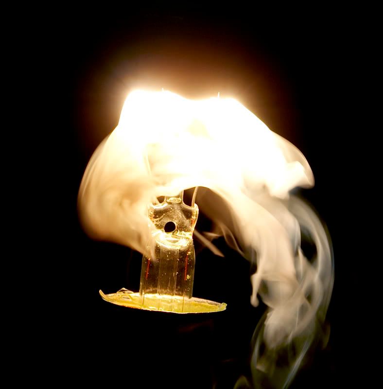 IMAGE: http://i114.photobucket.com/albums/n248/renboykite/_MG_3045b.jpg