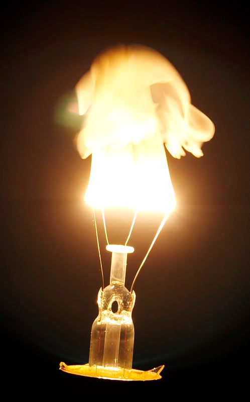 IMAGE: http://i114.photobucket.com/albums/n248/renboykite/_MG_3048.jpg