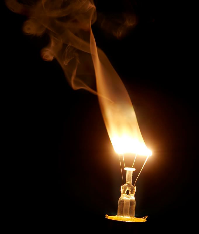 IMAGE: http://i114.photobucket.com/albums/n248/renboykite/_MG_3050.jpg