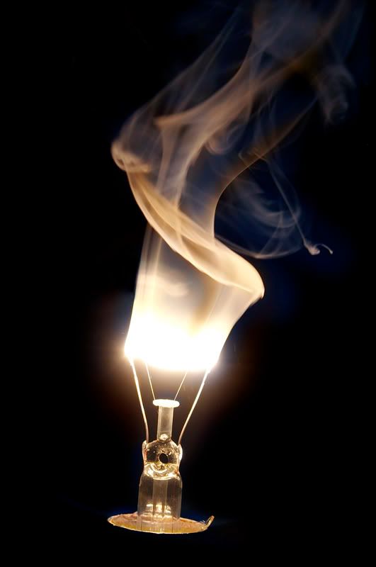 IMAGE: http://i114.photobucket.com/albums/n248/renboykite/_MG_3055b.jpg