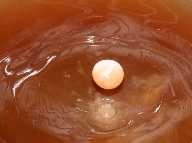 IMAGE: http://i114.photobucket.com/albums/n248/renboykite/_MG_3226c.jpg