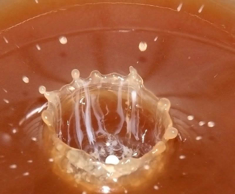 IMAGE: http://i114.photobucket.com/albums/n248/renboykite/_MG_3228c.jpg