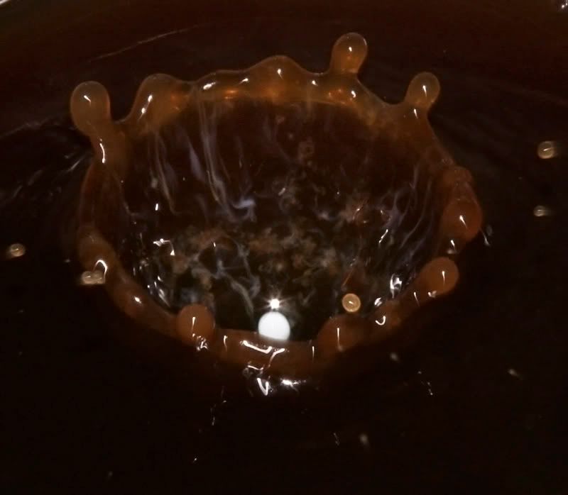 IMAGE: http://i114.photobucket.com/albums/n248/renboykite/_MG_3259c.jpg