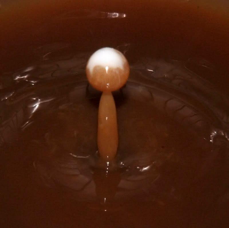 IMAGE: http://i114.photobucket.com/albums/n248/renboykite/_MG_3295c.jpg