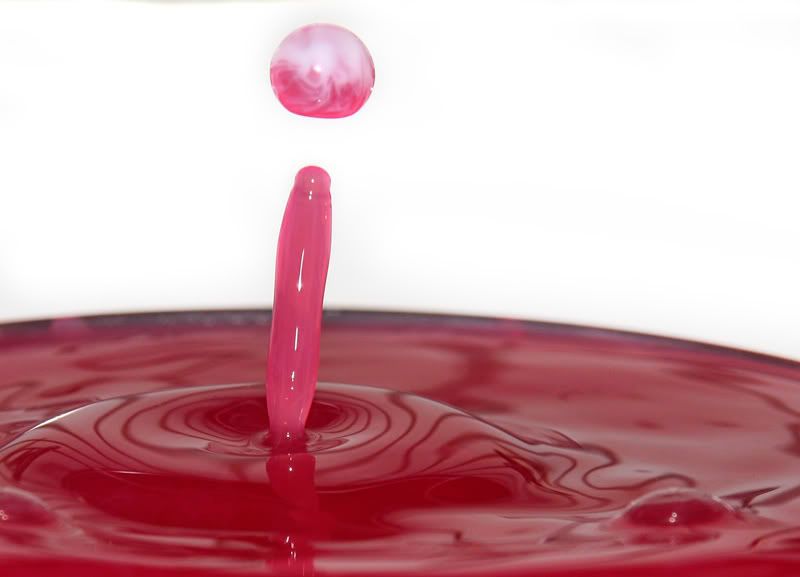 IMAGE: http://i114.photobucket.com/albums/n248/renboykite/_MG_3569.jpg