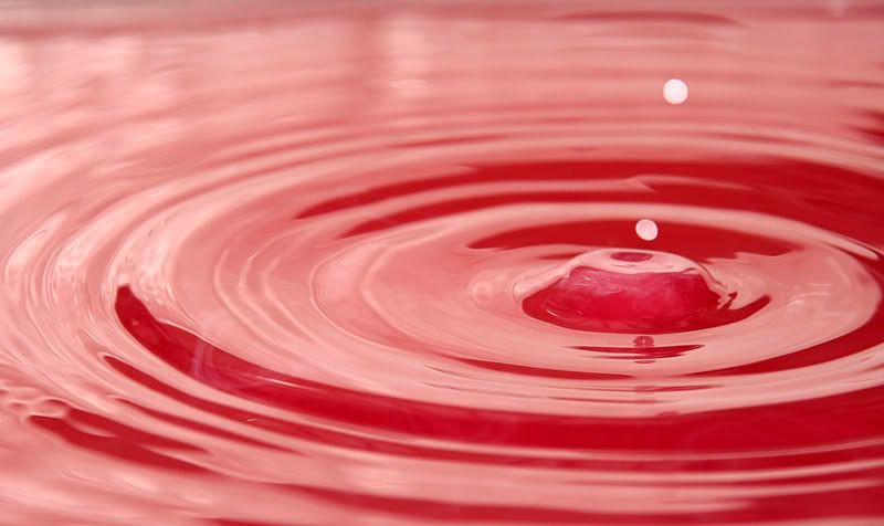 IMAGE: http://i114.photobucket.com/albums/n248/renboykite/_MG_3598.jpg