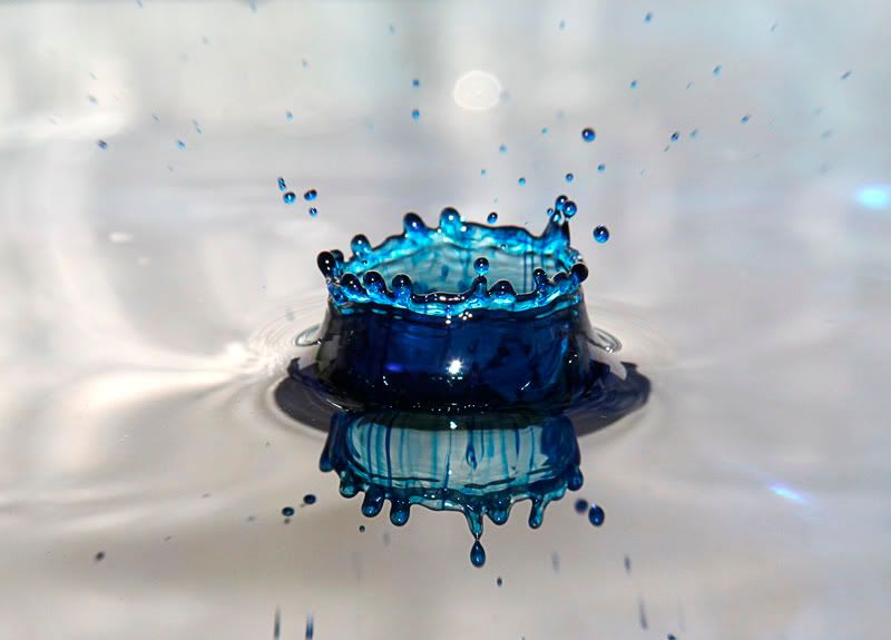 IMAGE: http://i114.photobucket.com/albums/n248/renboykite/_MG_3646.jpg