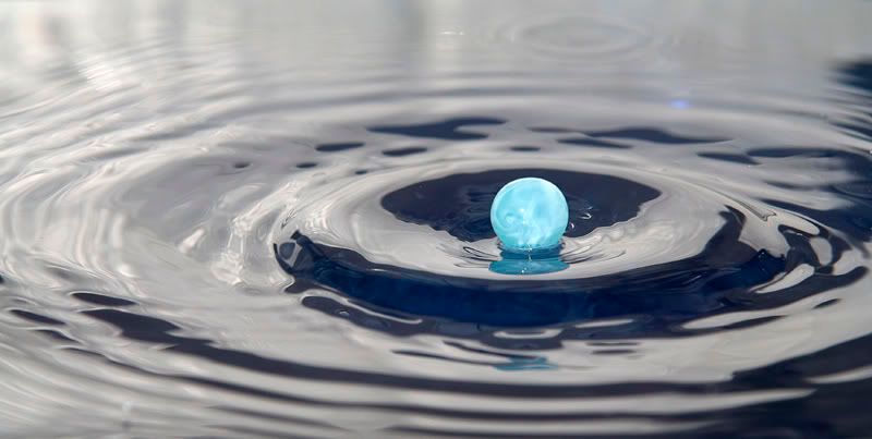 IMAGE: http://i114.photobucket.com/albums/n248/renboykite/_MG_3659.jpg