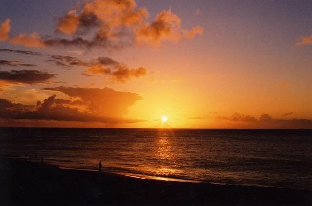 sunset beach background. hawaii each background.
