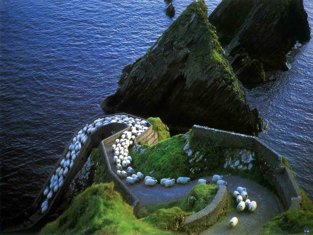 Dingle2coKerry.jpg